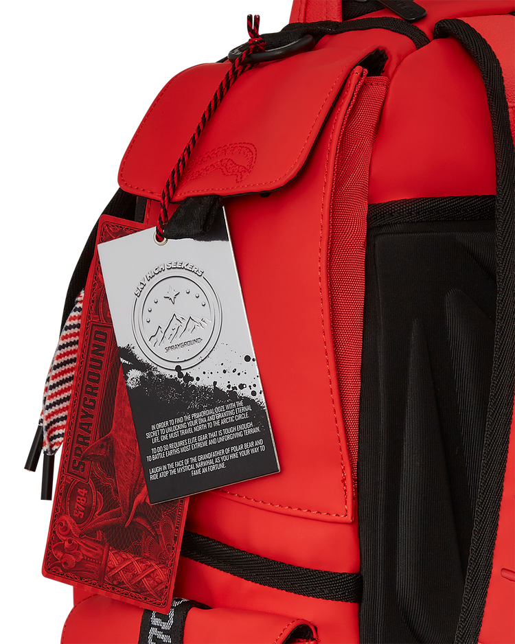 SKY HIGH SEEKERS ARCTIC HIKER BACKPACK