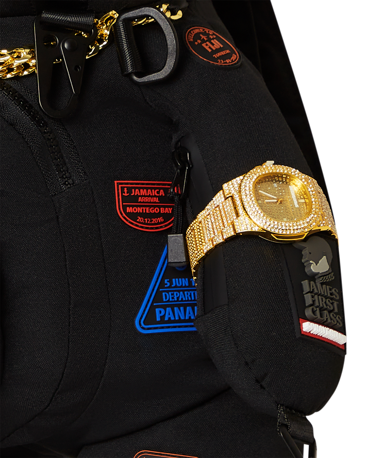 JAMES EDITION PASSPORT BEAR MONEYBEAR BACKPACK